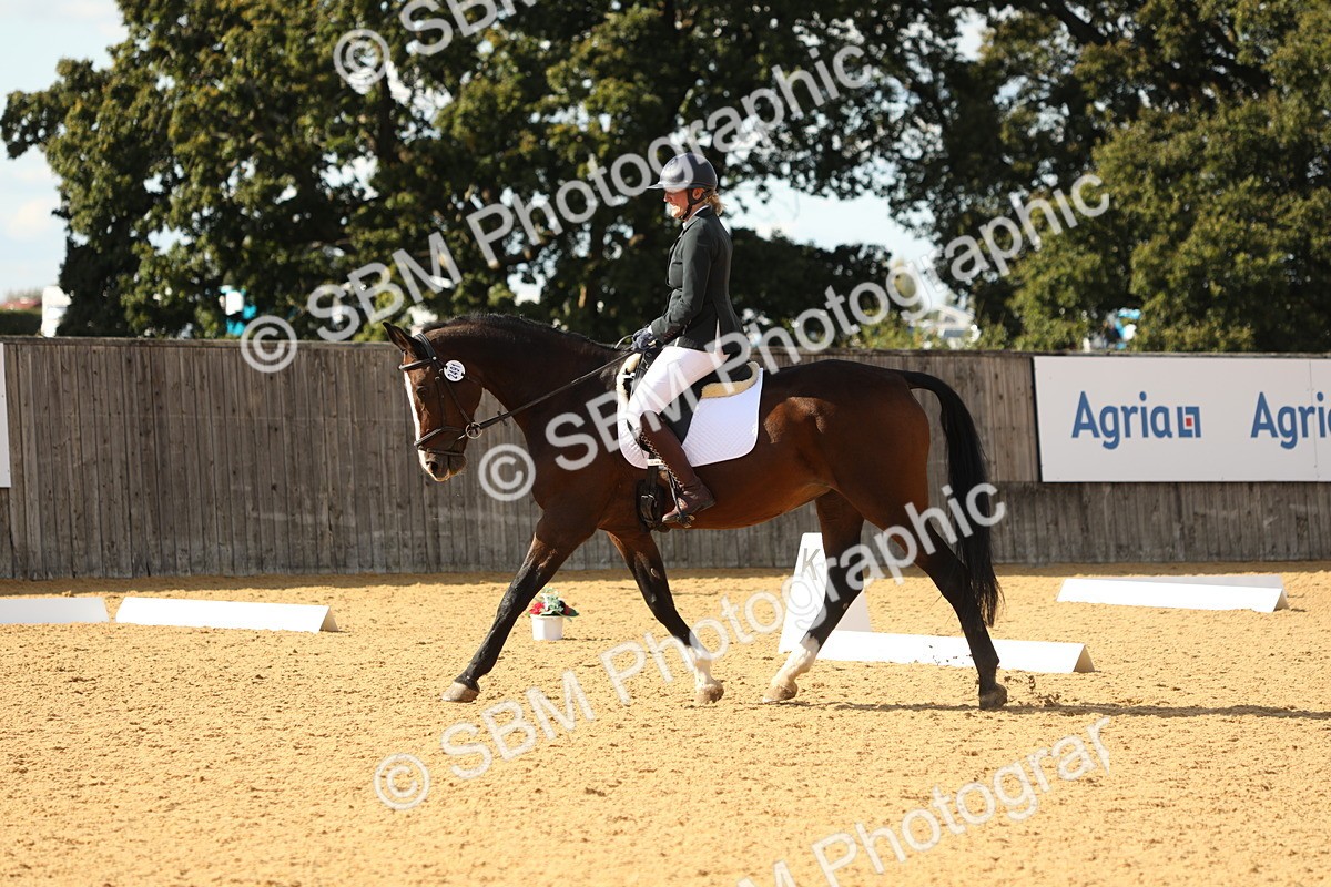 SBM_26734 - D17 - Grand Tour Championship - Novice 27