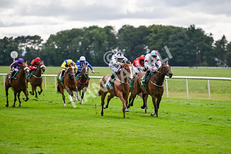 030724-Race 5-Petra Celera-0850 - Race 5