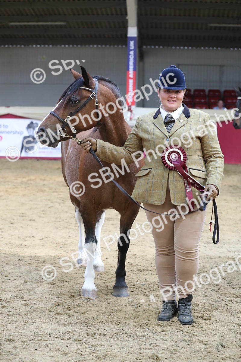 SBM_06464 - Class 9R Regional- IH Pre Vet