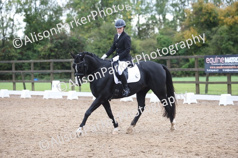 20261021-0757 - Class 6 - Novice 3