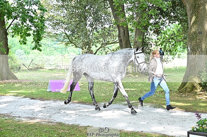 250521A-152017-00431 - B-357-Rosalind.Canter-ARMSCOTE.EXPLORER