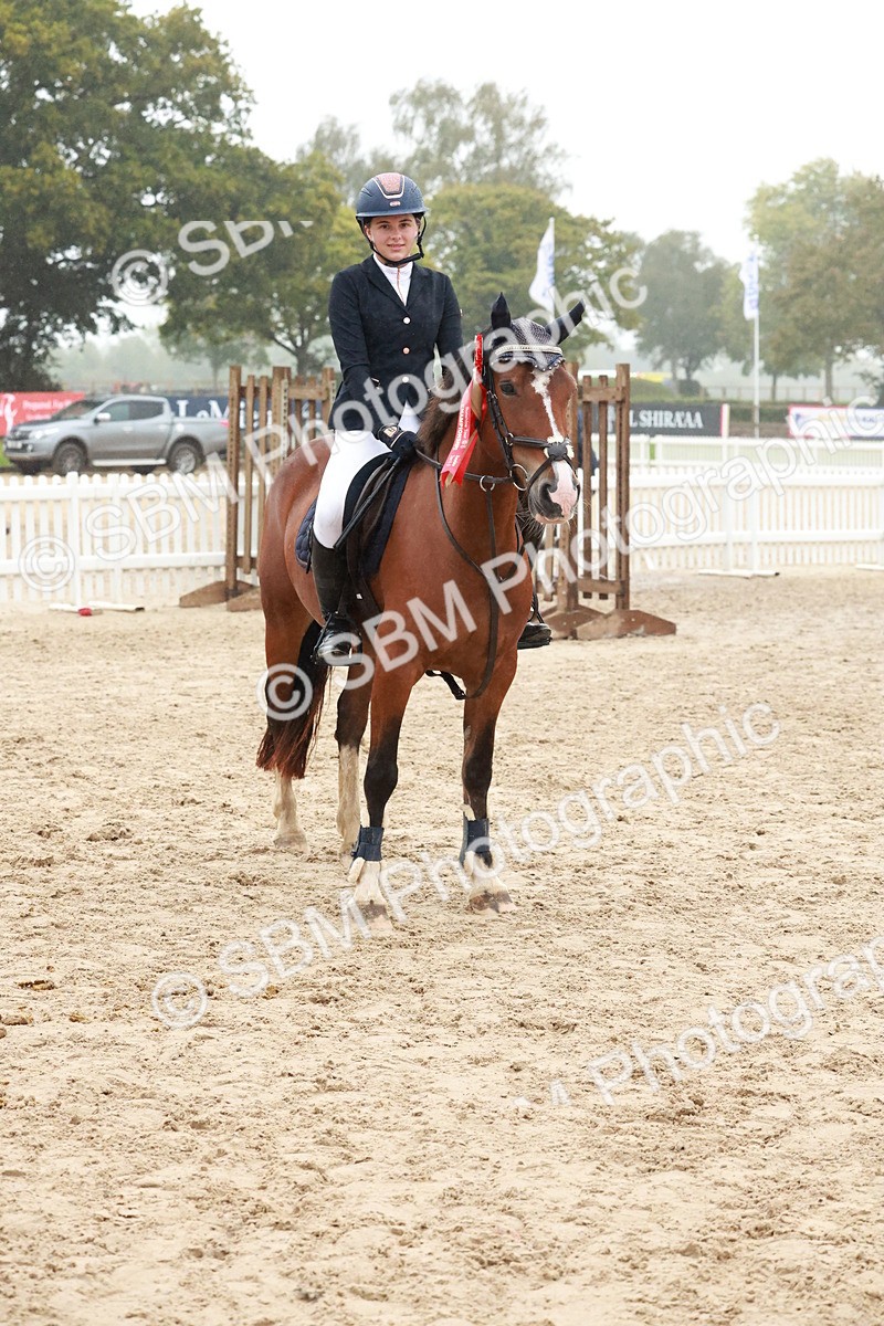 SBM_73645 - Supreme Championship Junior Pony 60cm & 65cm