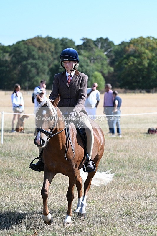 WJ7_4014 - Class 9 Mountain & Moorland Ridden