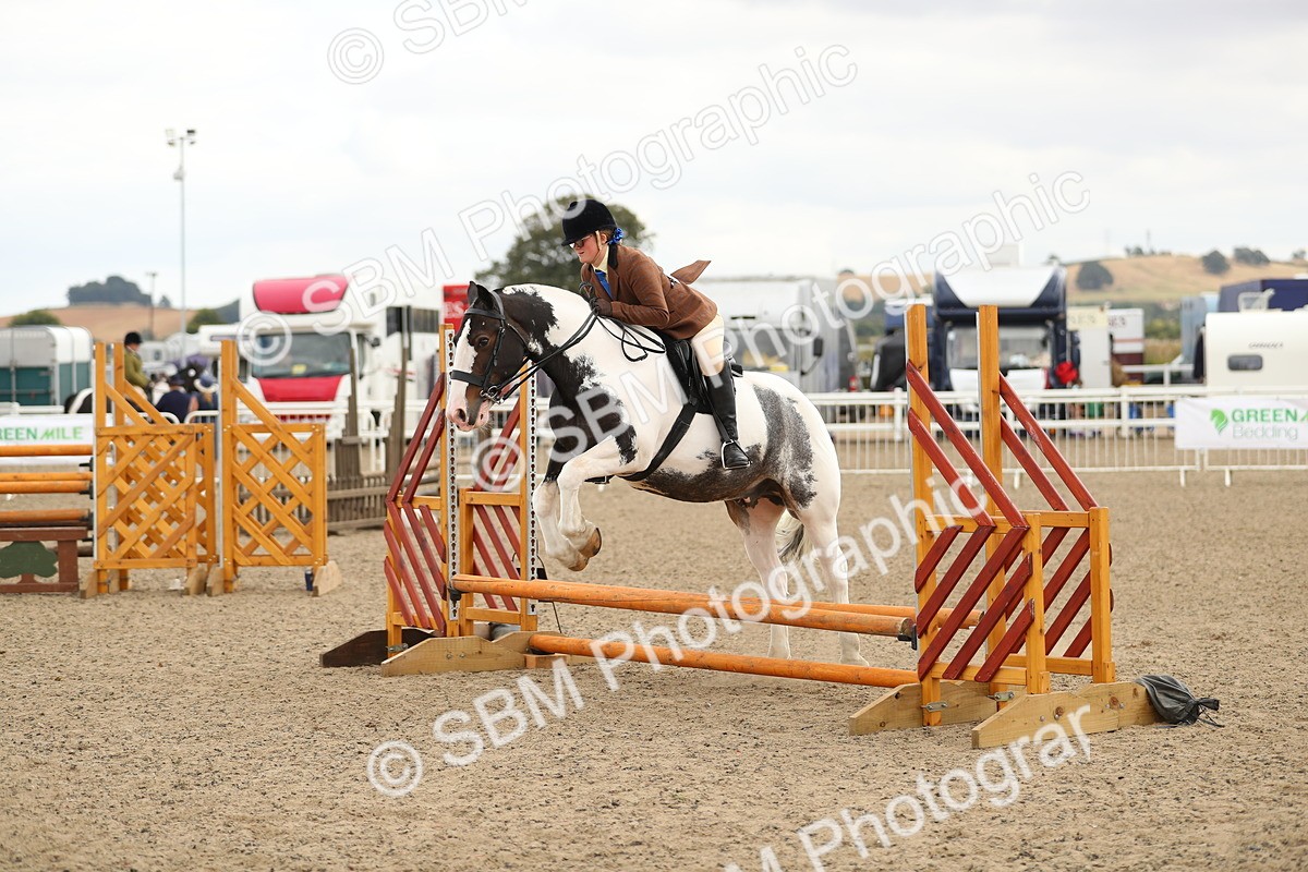 SBM_05201 - Class 47b Style & Performance 60cm (20+)