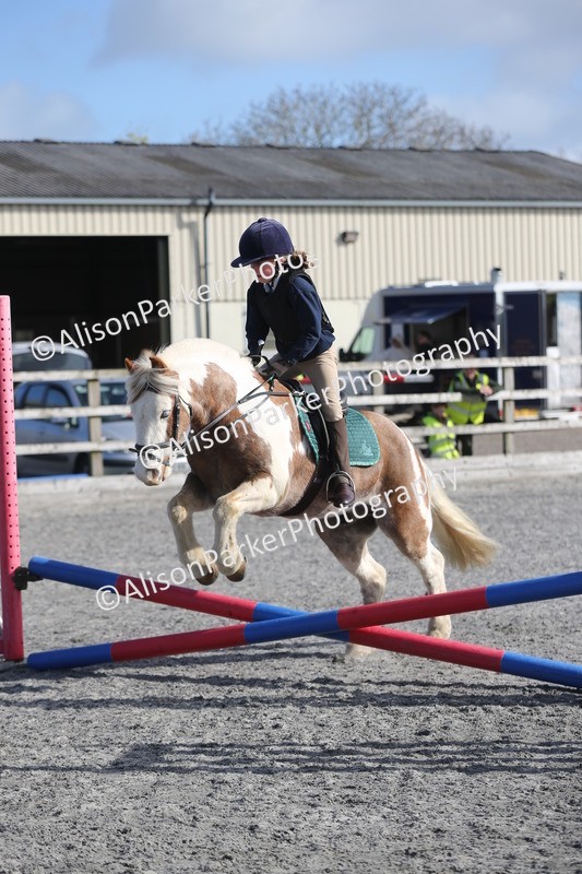 20260412-0061 - Show Jumping
