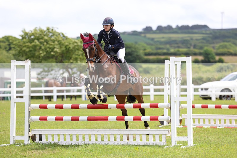 3E7A7300 - Class 13: Senior British Novice/90cm open