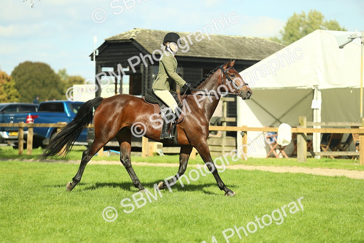 SBM_48082 - S32 - Novice & Newcomers Working Hunter