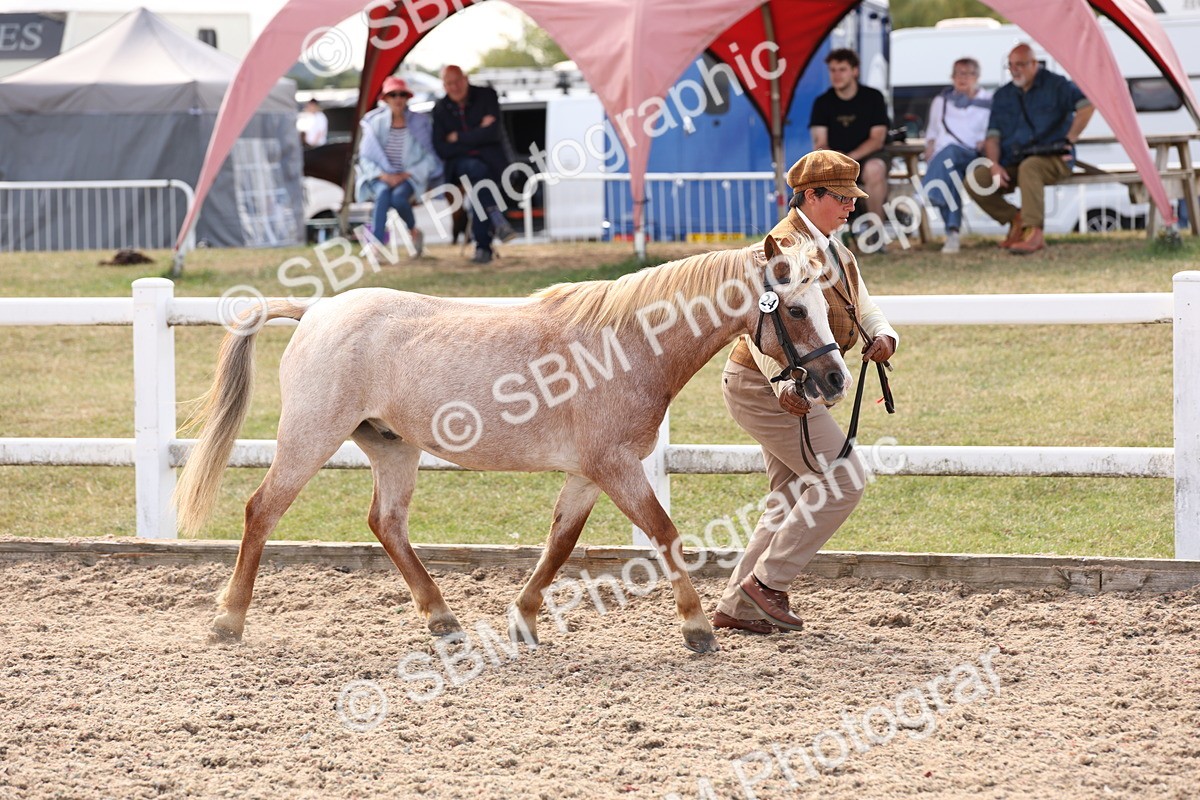 SBM_15057 - Class 209 - IH Veteran Pony