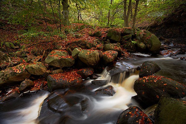 Padley Gorge - Peak District