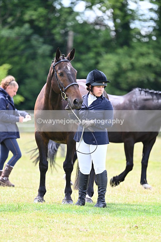 WJ7_7100 - Class 5a Most Handsome Gelding in Hand