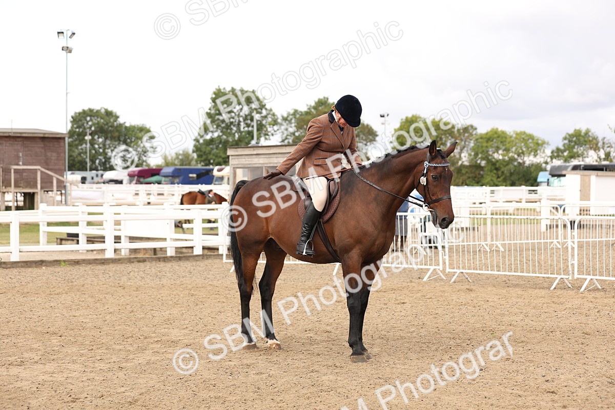 SBM_02869 - Class 53 - Ridden Competition Horse/Pony
