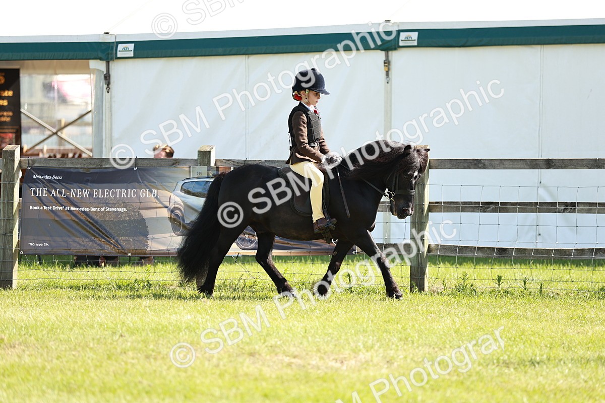 SBM_12578 - Class 106-107 - BSPS LIHS Working Sports Pony