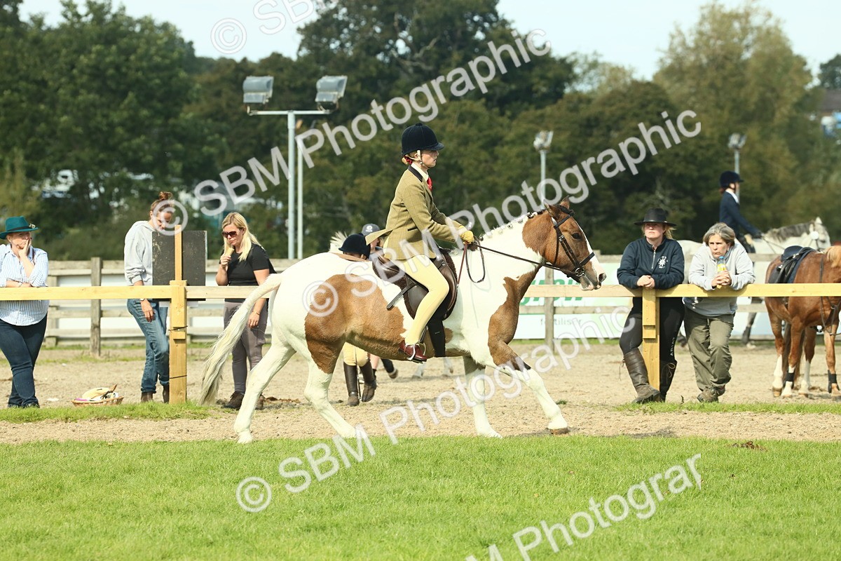 SBM_67659 - S56 - Coloured Pony Ridden