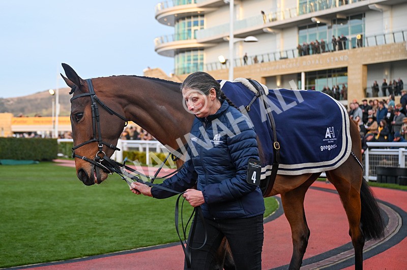 250125-Race 7-Kdeux Saint Fray-3784 - Race 7