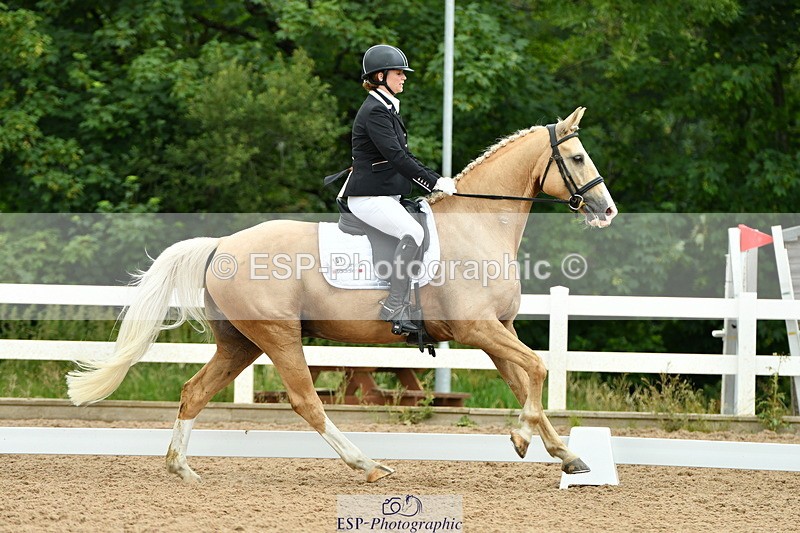 230701A-124142-05800 - Cls 7 Elementary 45