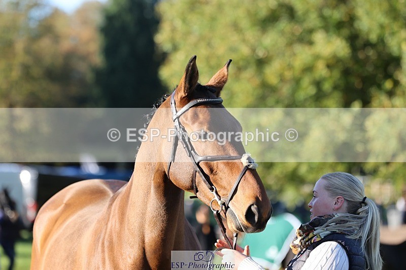 241027-085046-14847 - 359- Harriet Birkby- CBH CLOVER LINING