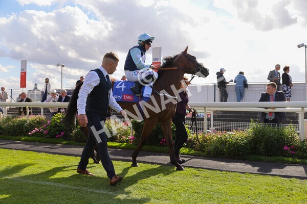 yr20082022r5-3 - Race 5 4.10pm Sky Bet Constantine Stakes