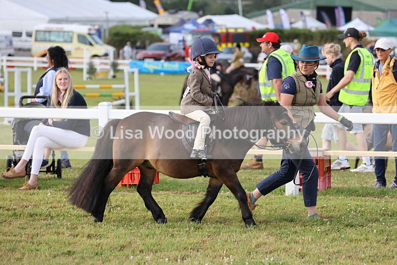 JPP_0229 - Class 14: Cornish Combination Leading Rein