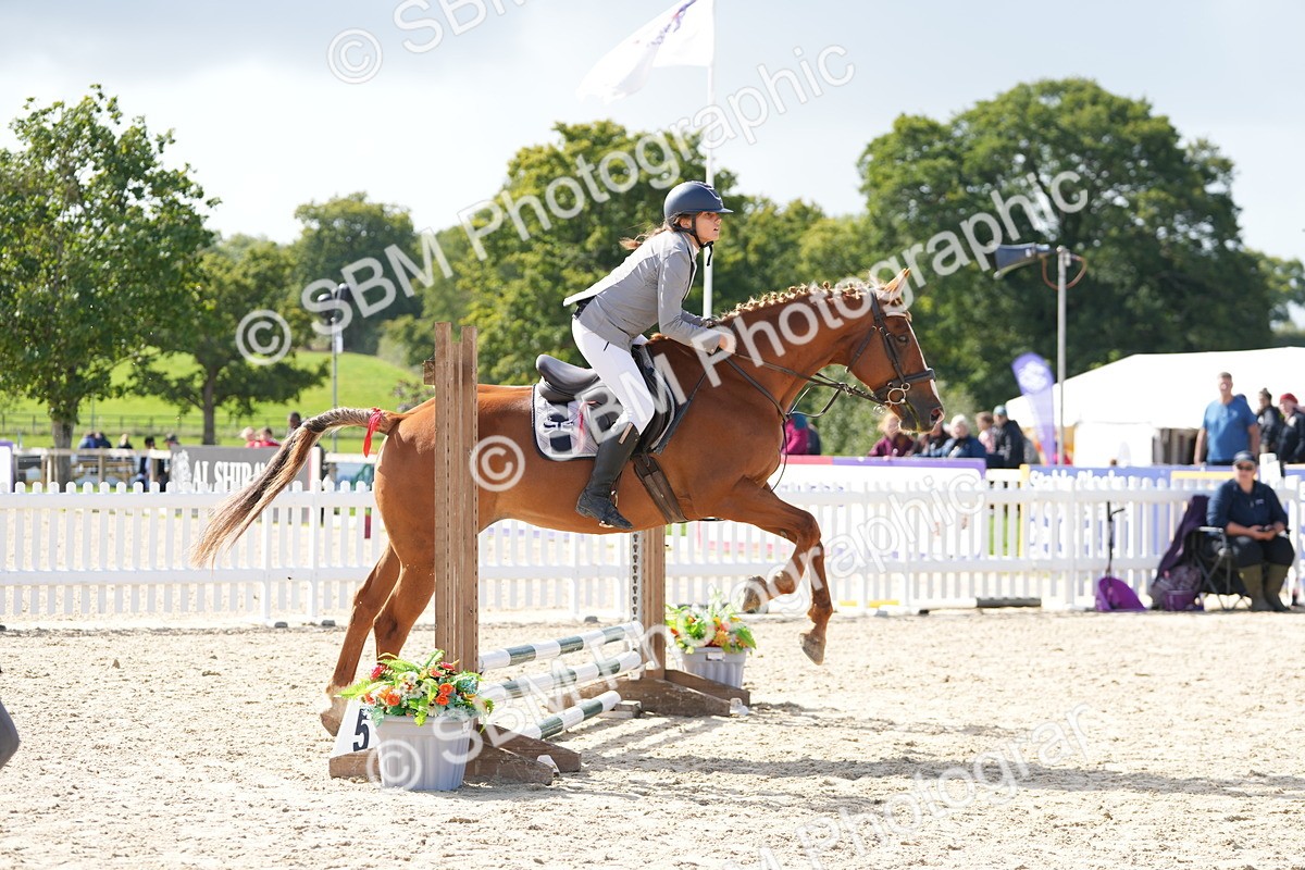 SBM_18024 - J58 - Clear Round 50cm