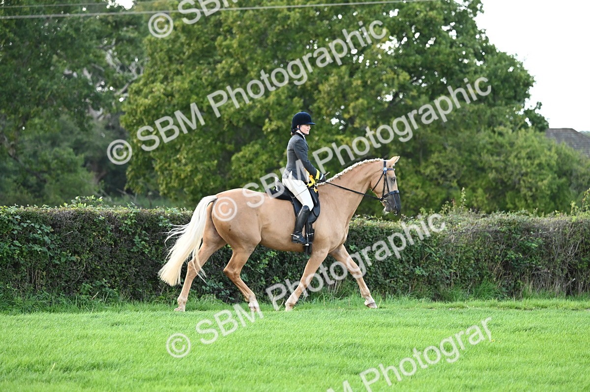 SBM_26532 - S6 - Novice & newcomer Ridden horse