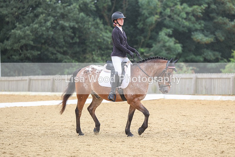 3E7A5411 - Class 2: Intro 4 2024 section B