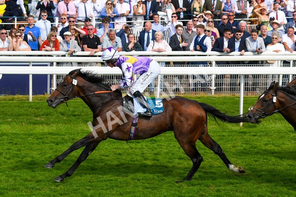 270523-Race 6-Quantum Impact-0902 - Race 6 4.25pm Royal Yorkshire Regiment Handicap