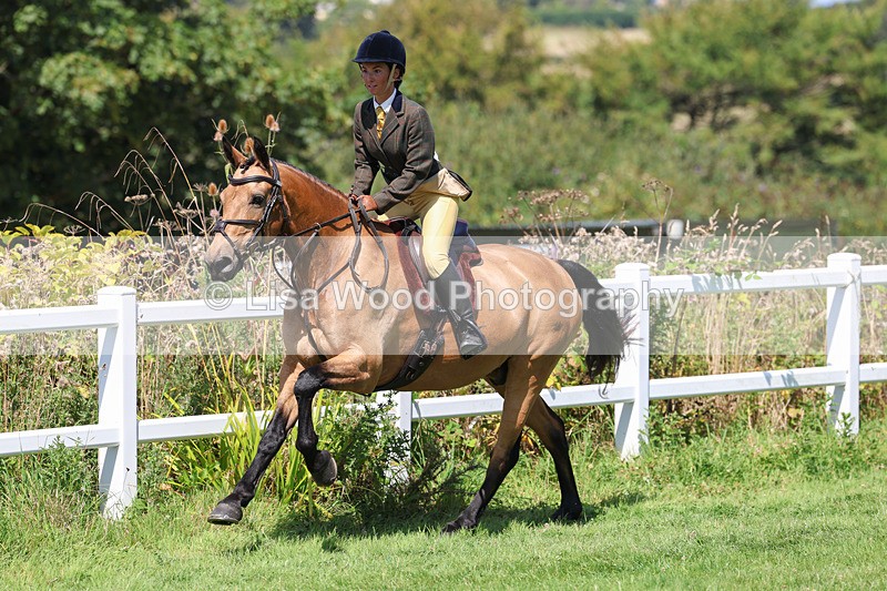 3E7A9005 - Class 6: Open Working Horse