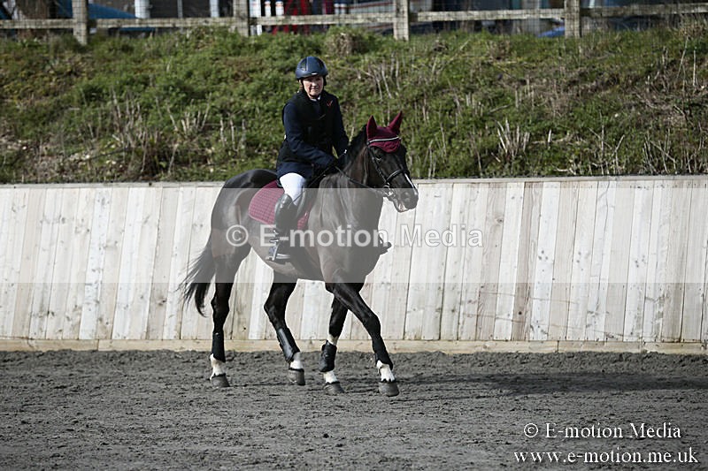 BVRC SJ 170319 34 - Bourne Valley Riding Club Showjumping 17/03/19