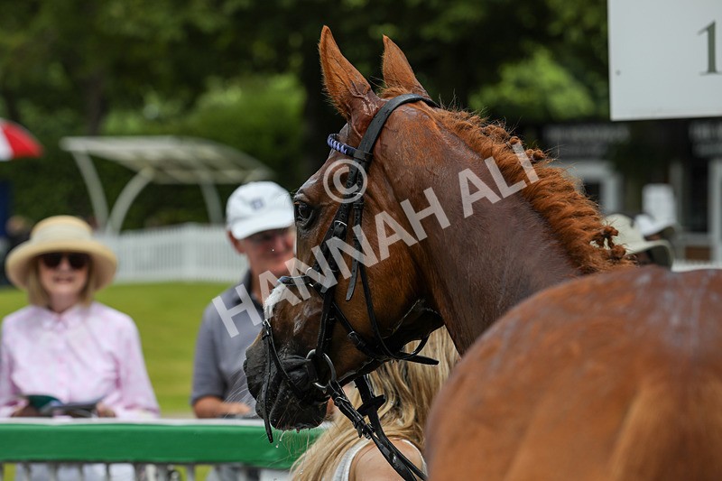 240624-Race 2-Fayqa-0161 - Race 2