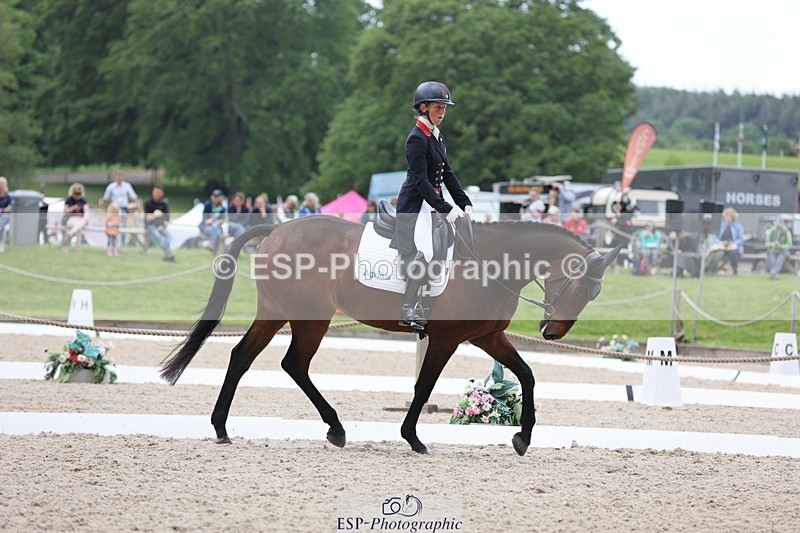 240524-120702-08525 - 274-JACK_OF_CLUBS-Rosalind_Canter