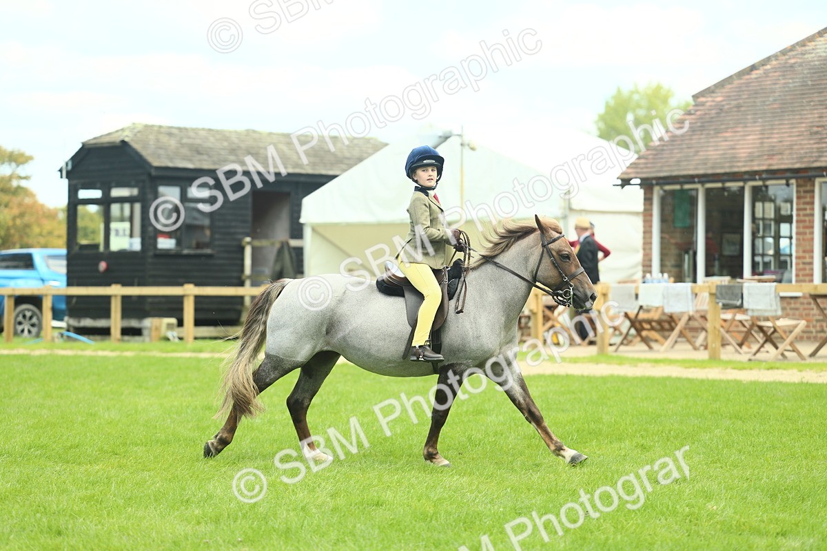 SBM_42770 - S30 - M&M Working hunter Pony