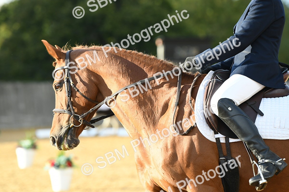 SBM_12619 - D19 Small Tour Championship Elementary 42