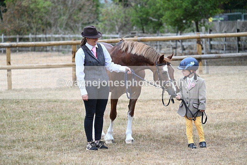 WJ7_8094 - Class 4 Prettiest Mare up to 14.2hh