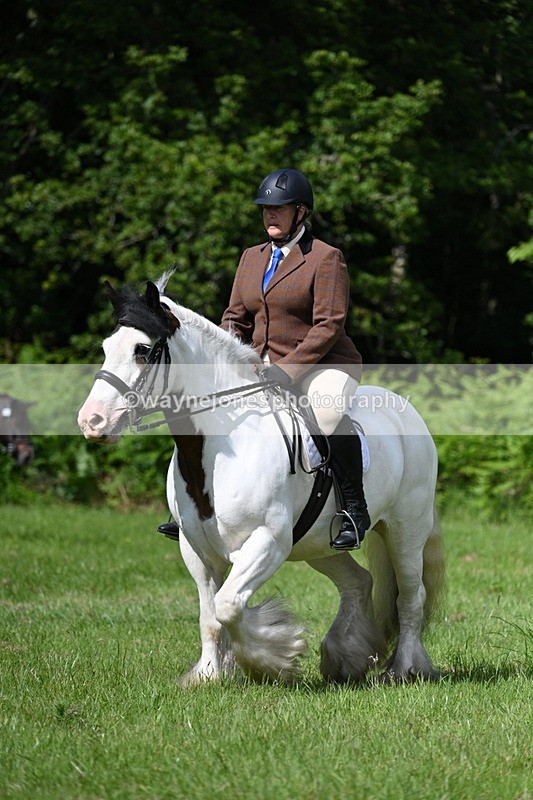 WJ7_1252 - Class 11 Condition & Turnout