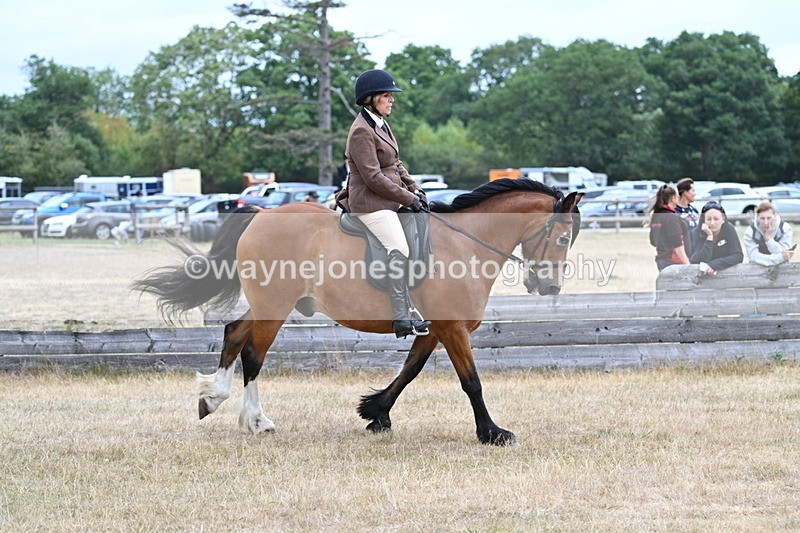 WJ7_0549 - Class 6 Ridden Mountain and Moorland