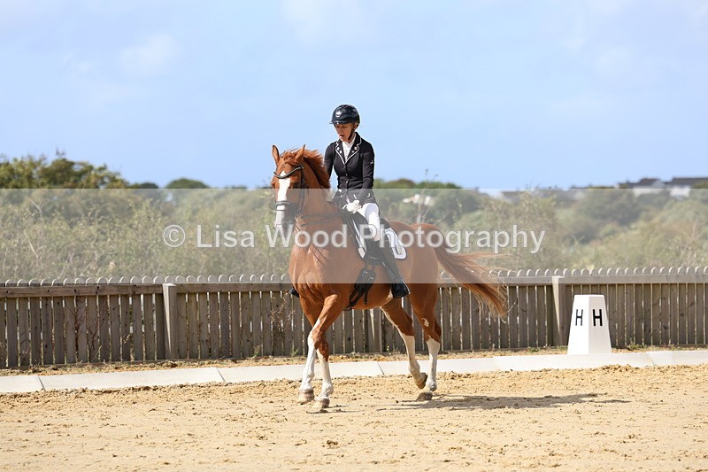 3E7A4824 - Class 11: Elementary Music