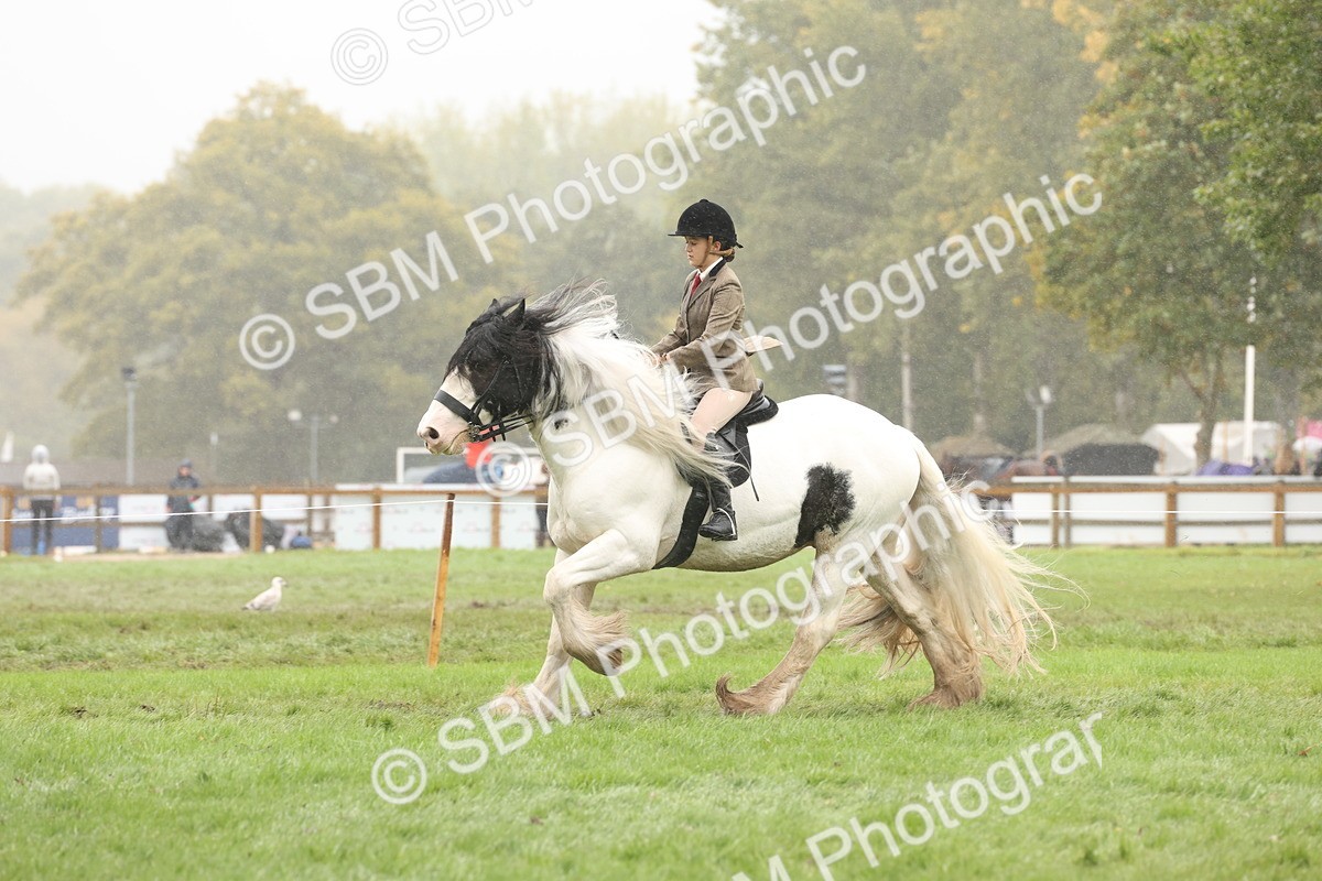 SBM_72720 - S70 - Traditional Cob Ridden