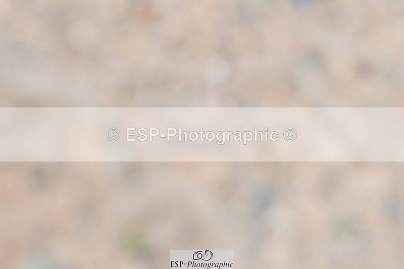 230520A-140438-01465 - Cls 6 Novice 30
