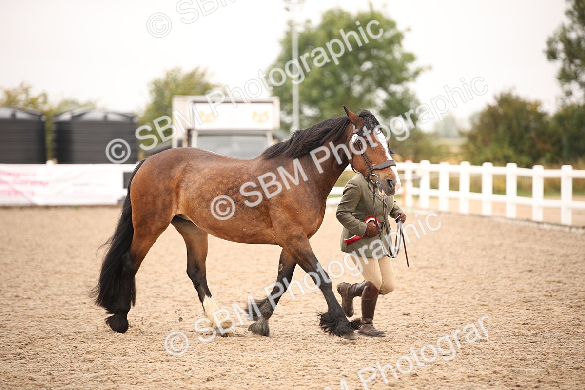 SBM_21536 - Class 706 - IH  Veteran