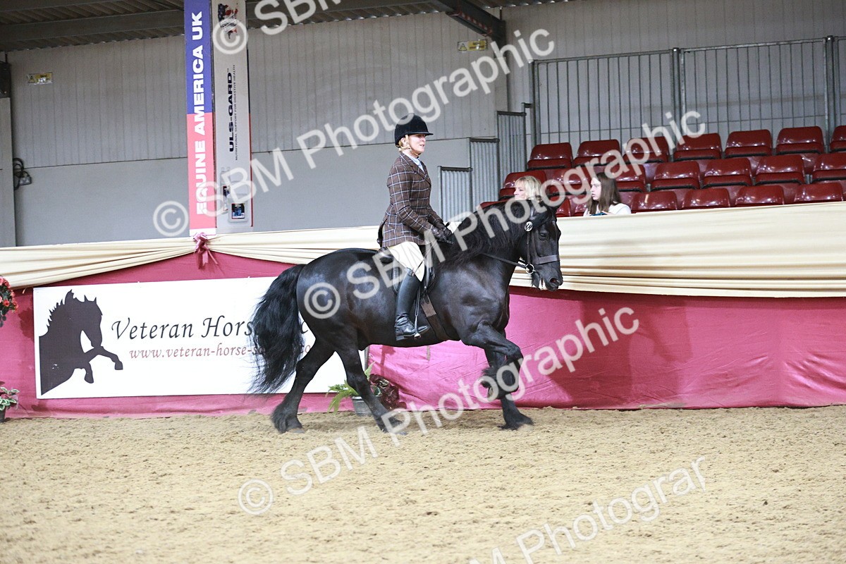 SBM_08776 - Class 12R - Regional Ridden Pre-Vet