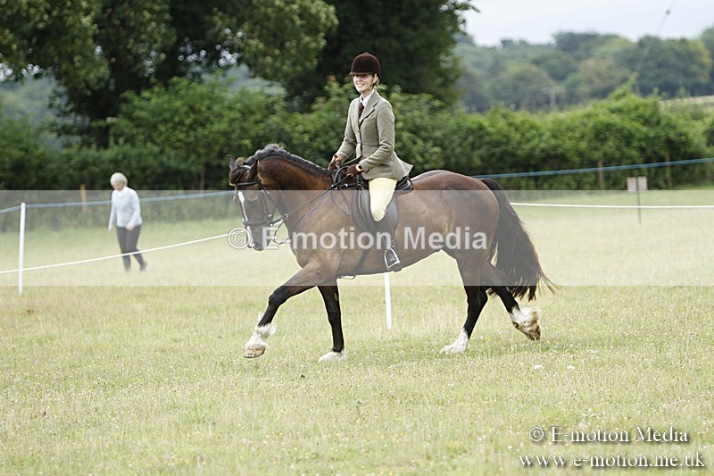 BVR160717-161 - Ring 3 BVRC Show 16/07/17