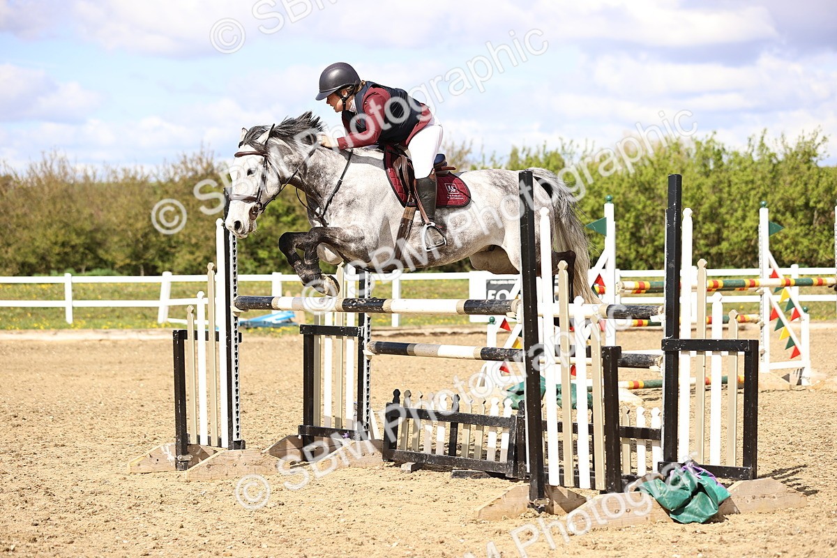 SBM_004780 - Class 19 - Senior Foxhunter - 1.20m