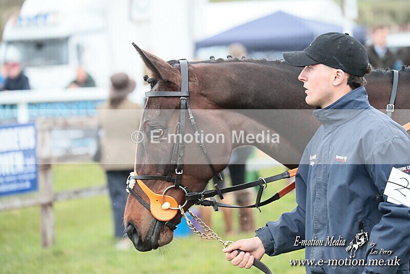 PtP 130425 345 - Edgecote Races 13/04/25