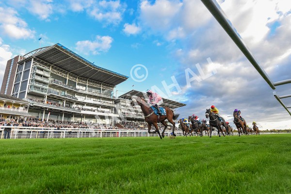111024-Race 7-On The River-8265 - Race 7 4.55pm Ire Incentive, It Pays To Buy Irish Apprentice Handicap