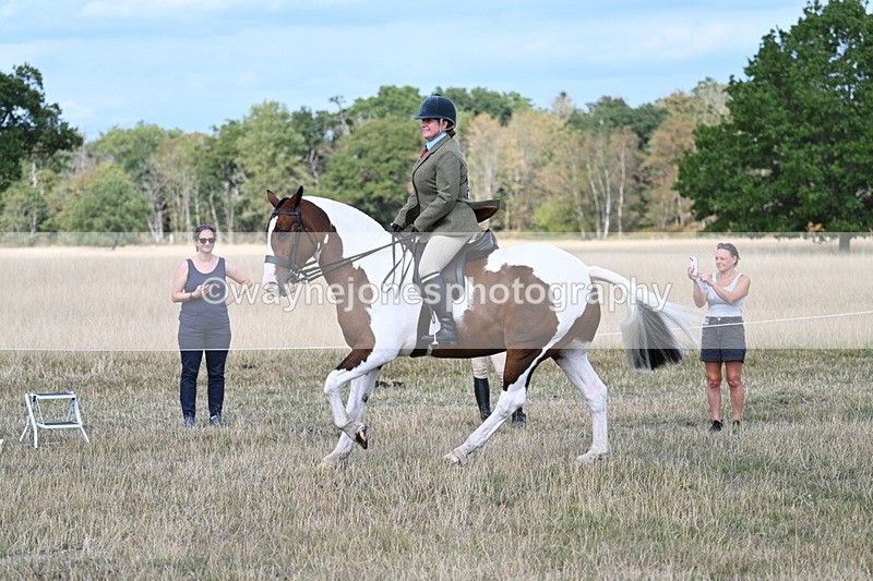 WJ7_6964 - Class 14 Ridden Coloured