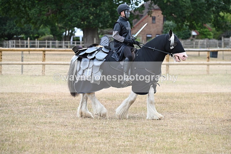 WJ6_8843 - Class 11 Fancy Dress