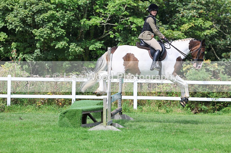 3E7A8604 - Class 5: Working Show Horse