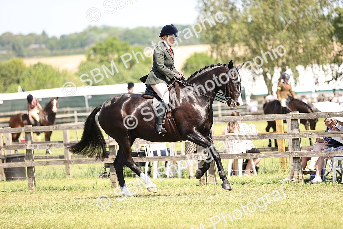 SBM_15052 - Class 79-80 - LIHS BSHA Rising Star Ridden Hunter