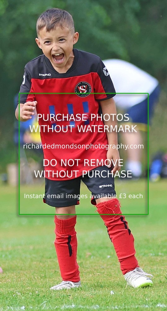 533A2994 - Sedbergh Wanderers (morning Ibis)