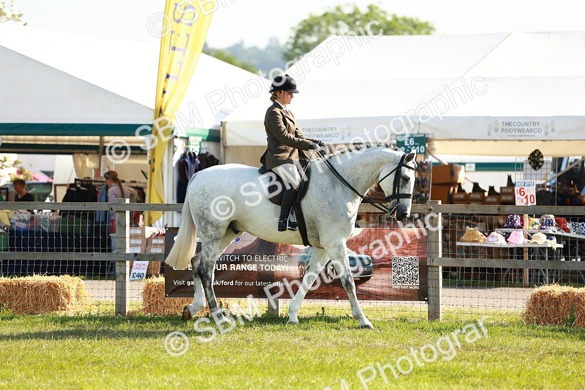SBM_10869 - Class 66-69 - RIHS Ridden Hunters Inc Small Hunter